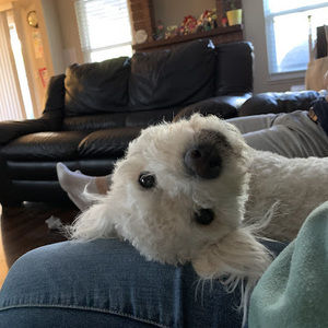 Meet your Posher, Ellie